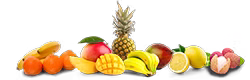 fruit-exo.png