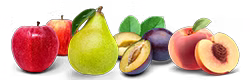 fruit-du-verger.png